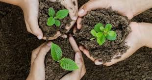 দুর্গতদের সাহায্য প্রদান